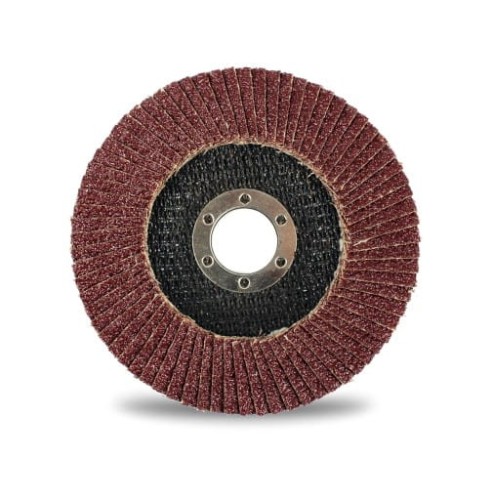 ŚCIERNICA LAMELKOWA