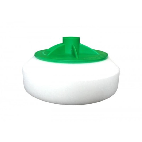 BOLL GĄBKA